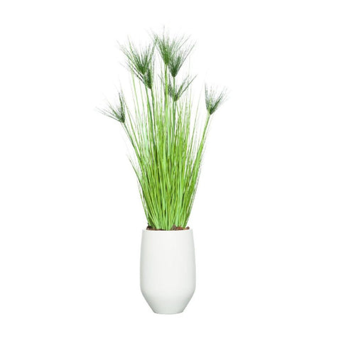 68" PAPYRUS GRASS IN WHITE SANDSTONE POT - Hedi's Furniture