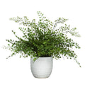 MAIDEN HAIR FERN IN WHITE - Hedi's Furniture