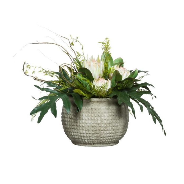 Protea/Fern in Grey Bowl - Hedi's Furniture