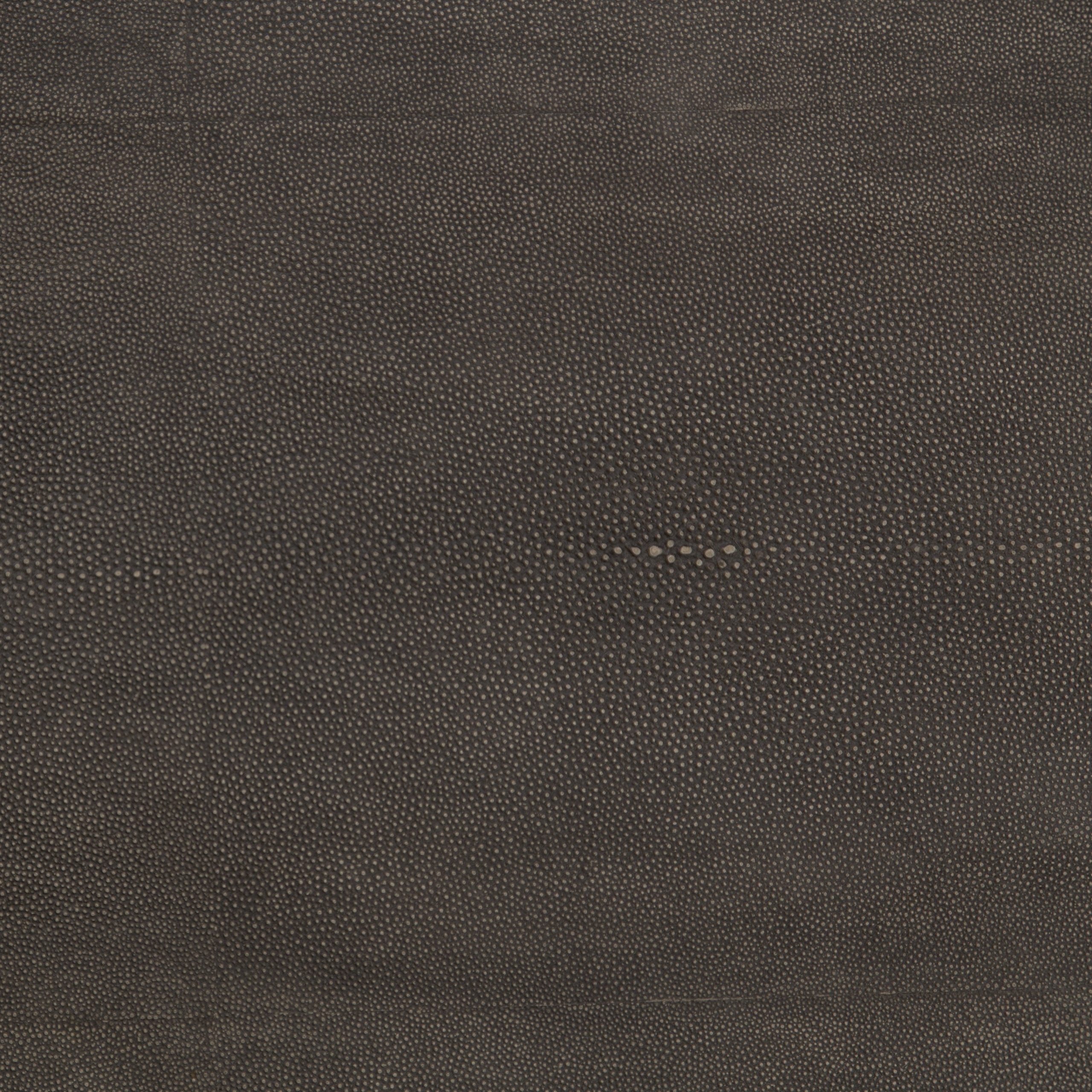 Shagreen  Shadow Box Coffee Table - Hedi's Furniture