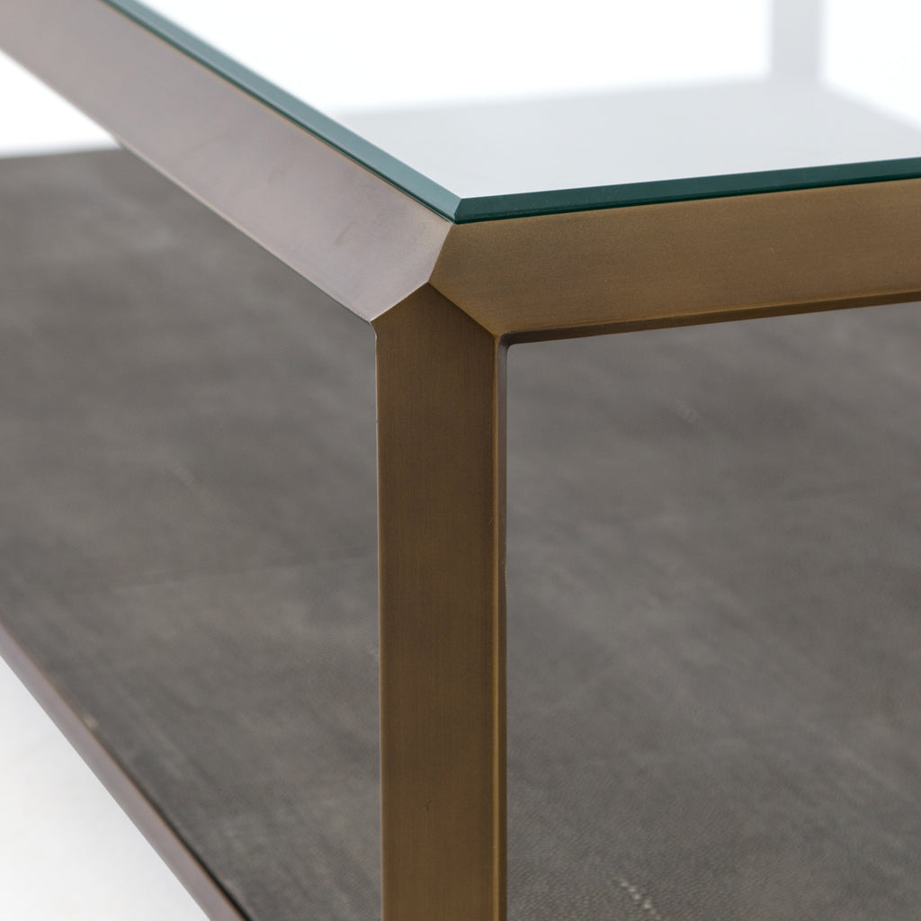 Shagreen  Shadow Box Coffee Table - Hedi's Furniture