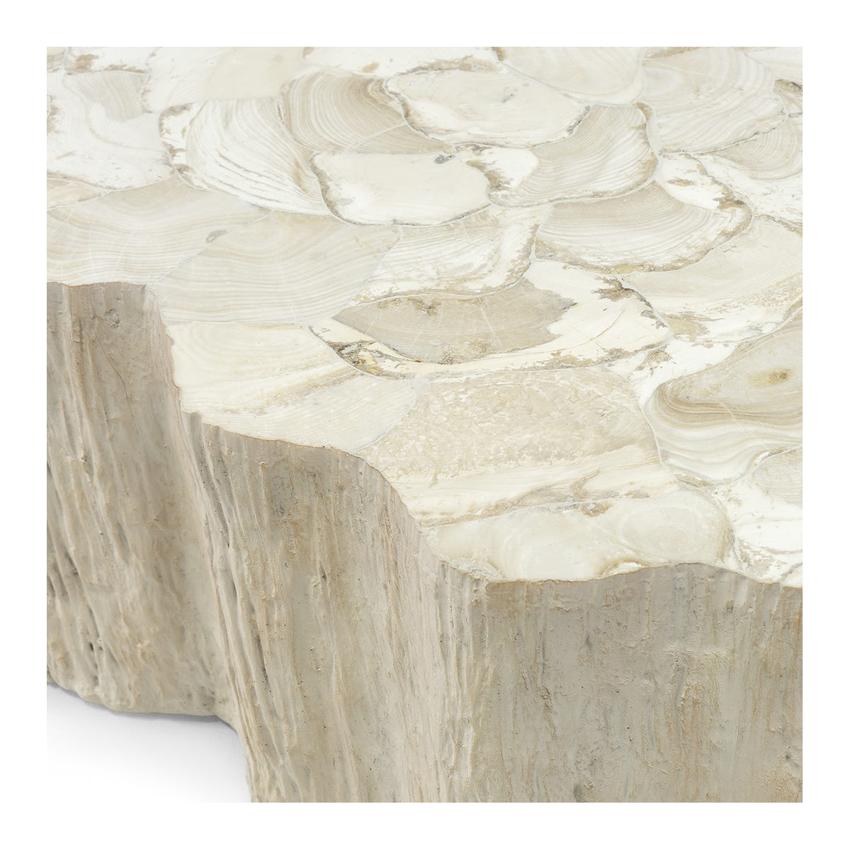 CAMILLA FOSSILIZED CLAM COFFEE TABLE - Hedi's Furniture